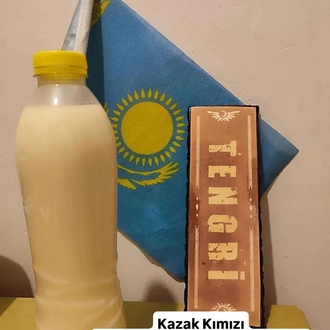 Kazakistan Kımız