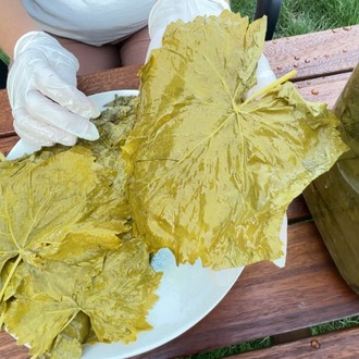 2026 SEZONU UMAİ YAPRAK SALAMURA 5 kg'lık Bidon