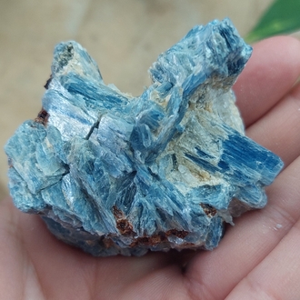 Nadir Oluşum Üst Kalite Kristal Kuvarsla Mavi Kyanit Birlikteliği