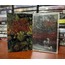 Gore Dimension - Ethereal Realm (Kaset)