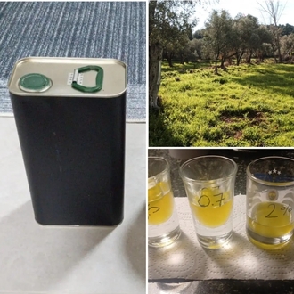 Organik Zeytinyağ 5 LT