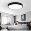 DAVUL LED AVİZE 60 çap
