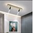 ELİPS PLAFONYER AVİZE 16x60 cm 2 SPOTLU
