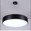 DAVUL SARKIT LED AVİZE 60 çap