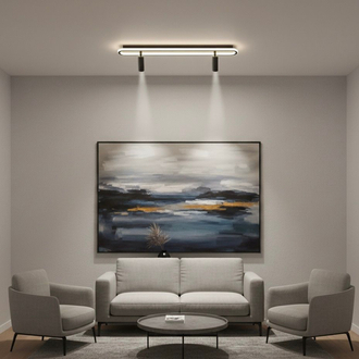 ELİPS PLAFONYER AVİZE 16x60 cm 2 SPOTLU