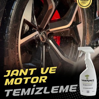 JANT VE MOTOR TEMİZLEME