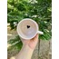 Heartbreaker Mug (240ml)
