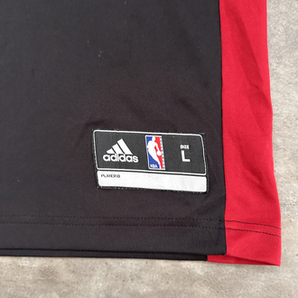 Adidas NBA Miami Heat Jersey (L)