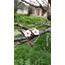 Sakura küpe ve kolye