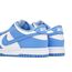 Dunk Low 