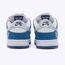 Nike SB x Born Raised Dunk Low