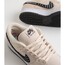 Nike SB x Albino & Preto Dunk Low