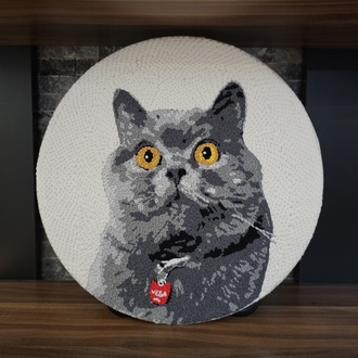 Pet Portre