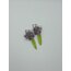 Bloom Küpe Serisi
