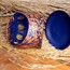 Cobalt Aromatherapy