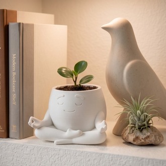 Zenny Meditasyon Yapan Karakter Saksı ve Vazo