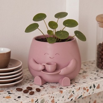 Barista Buddy Sevimli Karakter Tasarımlı Mini Sukulent ve Çiçek Saksısı
