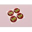 XoxShops Sticker / Etiket