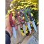 RULMAN SİSTEMLİ YARI OTOMATİK 