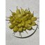 1 KG ÜÇ BURUN BİBER TURŞUSU 