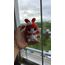 my melody