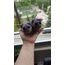 sad hamster 2 li fiyattır.