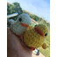 Cute Ducks