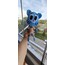 gumball