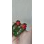 çilek dekor