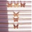 Mariposa Set 