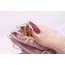 Pink Royal Heart Set