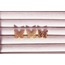 Mariposa Set 