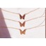 Mariposa Set 