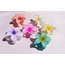 Hibiscus Toka