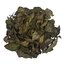 %100  ORGANİK YAPRAK YEŞİL ÇAY 25gr