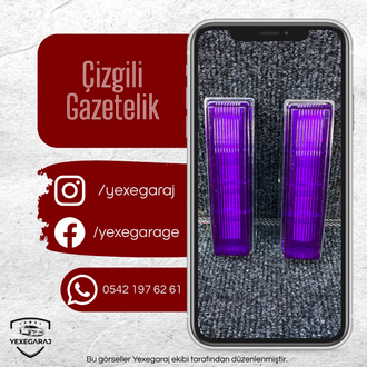 Çizgili Gazetelik Çift