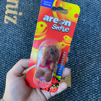 Areon Oyuncak Kokuları