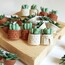 Succulent Küpe - Kiremit Saksı • İki Renk Seçeneği 