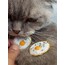SUNNY SIDE UP XL