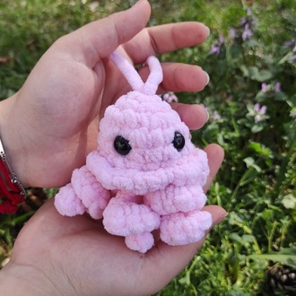Jellyfish