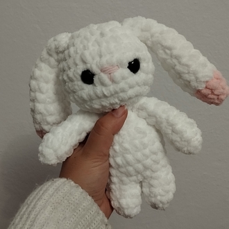 Mini tavşan