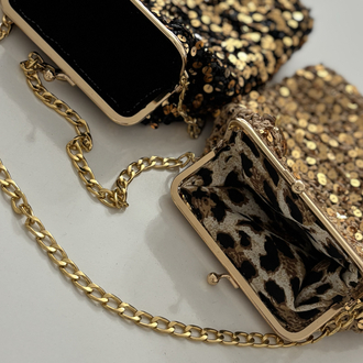 sequin bag