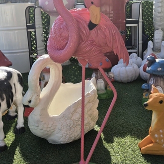Yeni model Flamingo