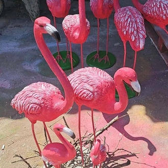 Yeni model bazalı üçlü Flamingo