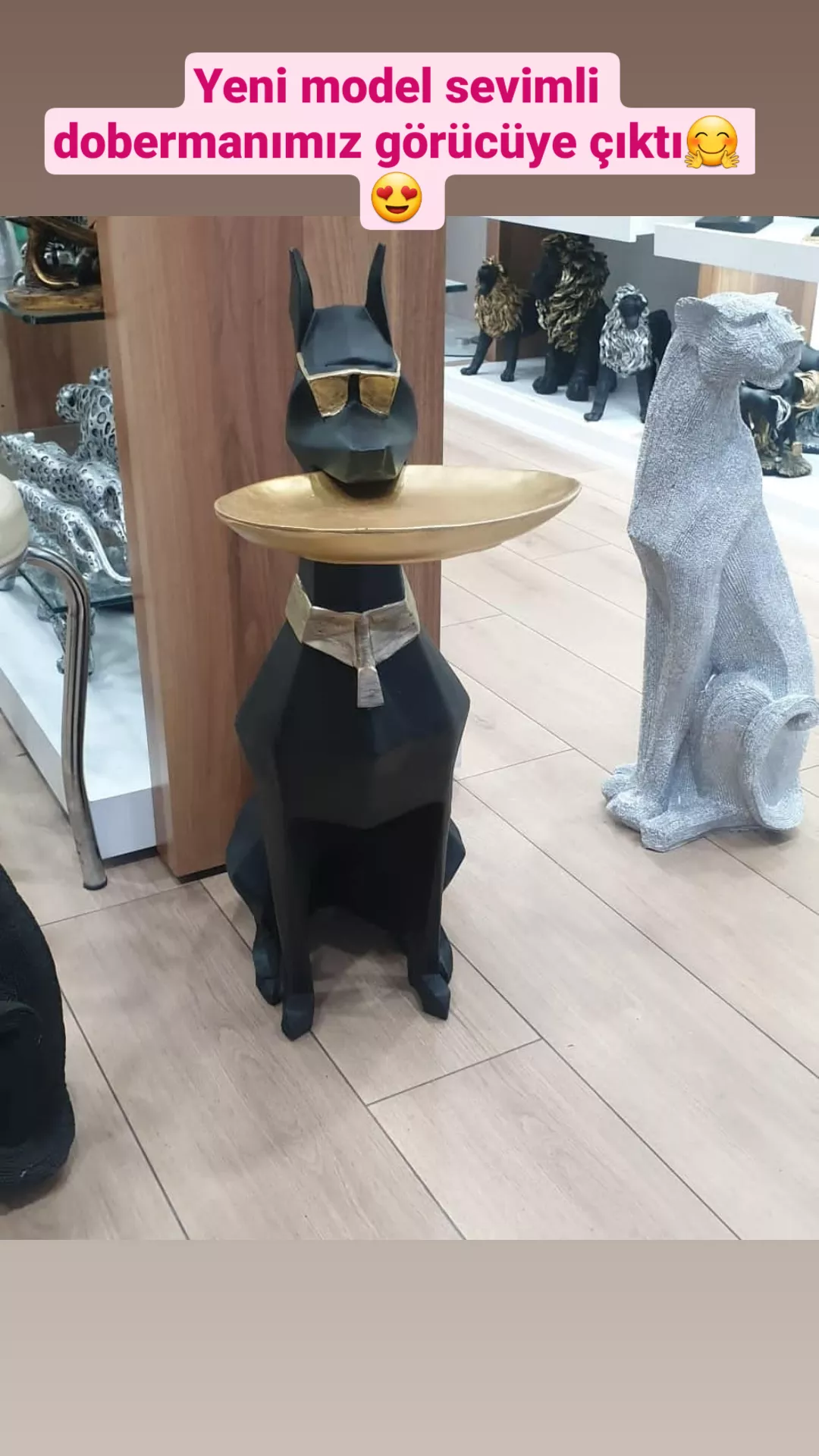 Doberman sunumluk