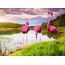 3,lü flamingo set