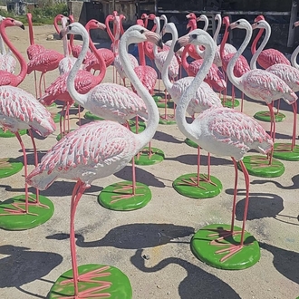 Büyük flamingo
