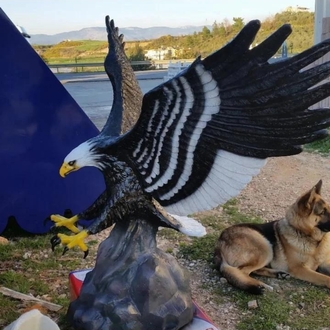 Büyük boy dev Kartal