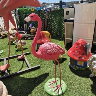Büyük flamingo