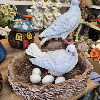 Yuvalı yumurtalı güvercin